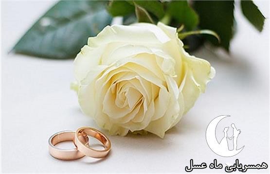 همسریابی دوست یابی تبیان  